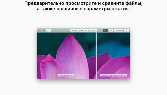 PDF Squeezer 4.3.3 [MAS] PDF压缩工具