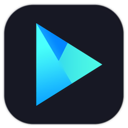 Vidmore Player 破解版