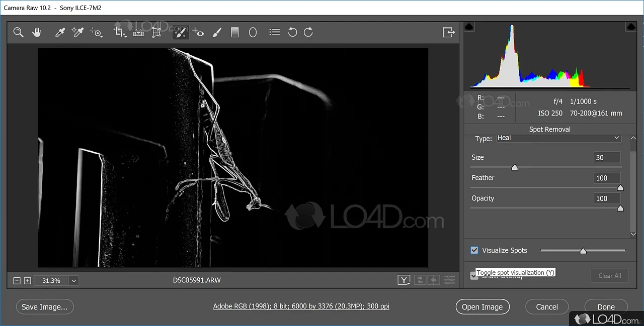 Adobe Camera Raw