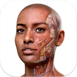 Complete Anatomy 破解版